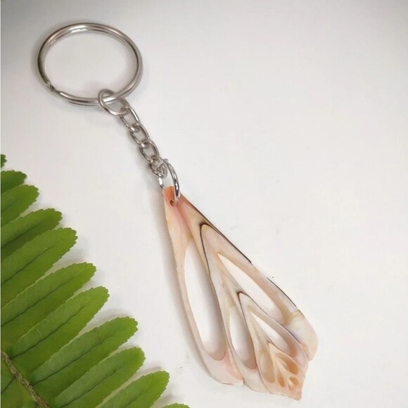 Seashell Keyring Slice Conch Seashell Clearwater Beach, Florida - Picture 4 of 13